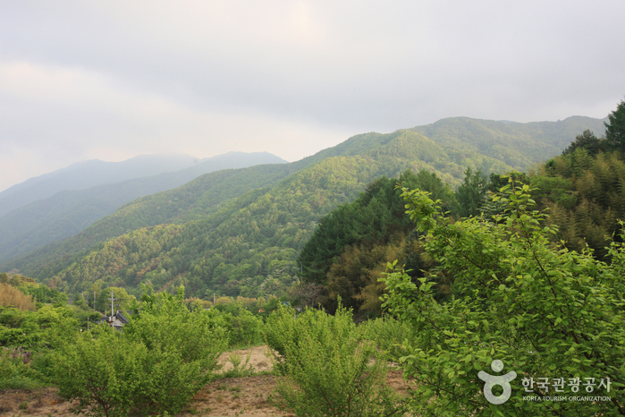 Jirisan National Park (Hadong Section) (지리산국립공원(하동))