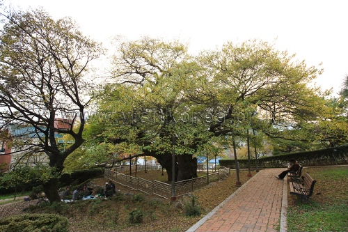 Parc Suyeong Sajeok (수영사적공원)