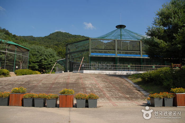 Bosque Recreativo Geumgang (Arboreto Geumgang, Museo Forestal) (금강자연휴양림(금강수목원,산림박물관))