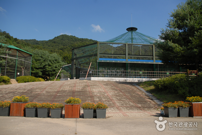 锦江自然休养林(锦江树木园，山林博物馆)금강자연휴양림(금강수목원,산림박물관)