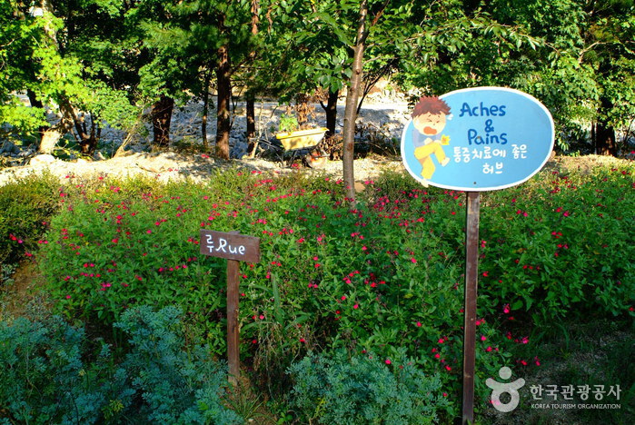 Herbnara Farm (허브나라농원)