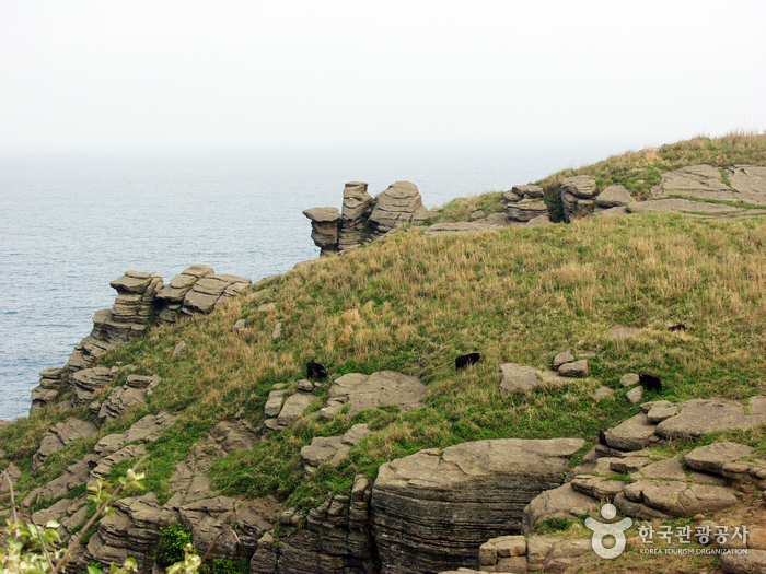 [제주올레 10코스] 화순-모슬포 올레1