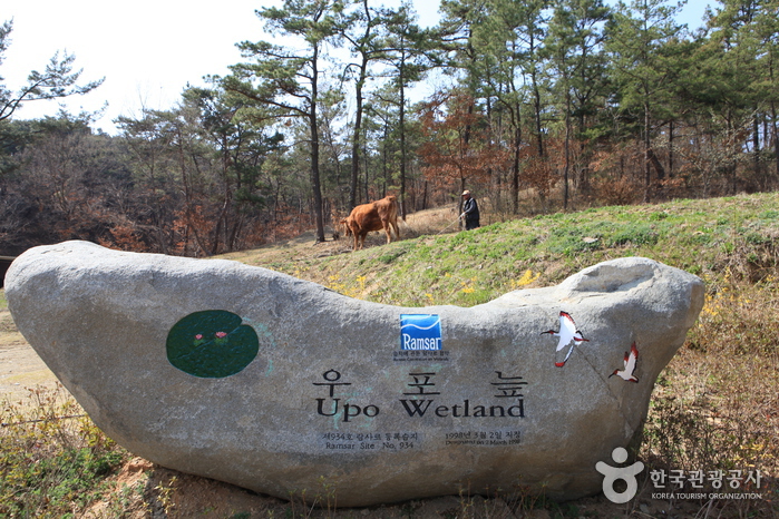 Changnyeong Upo Wetland (창녕 우포늪)