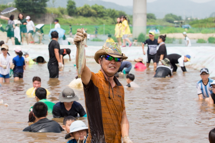 둔내고랭지토마토축제 2017 사진8