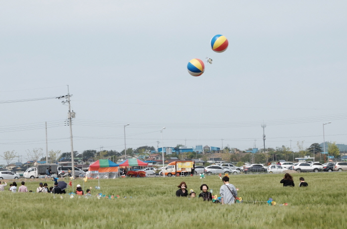 군산 꽁당보리축제 20192