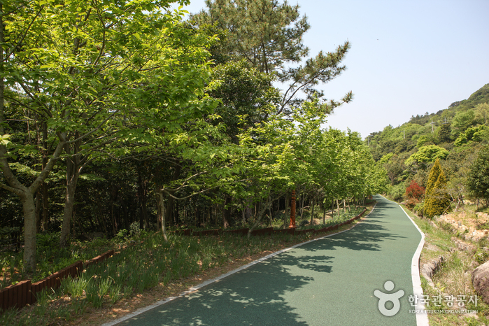 Wando Arboretum (완도수목원)