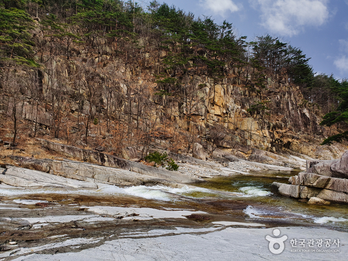 오대산 자연명상마을0