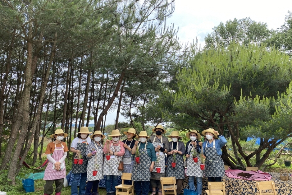 thumbnail-부여 선샤인-1