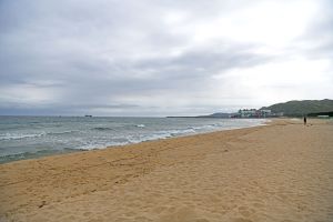 강원_강릉_금진해변 (2)