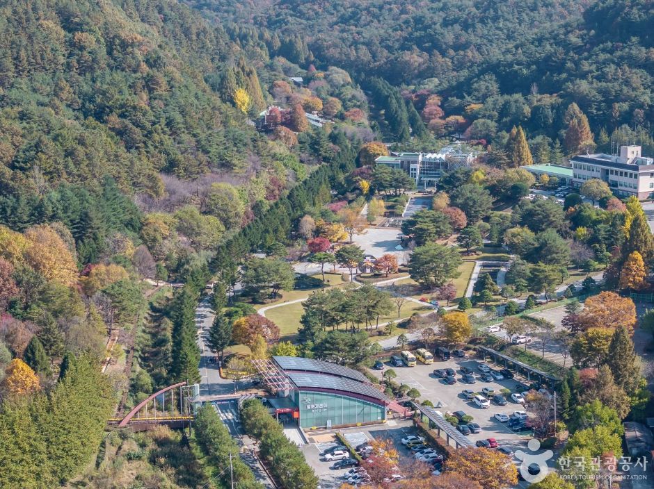 米東山樹木園(미동산수목원)