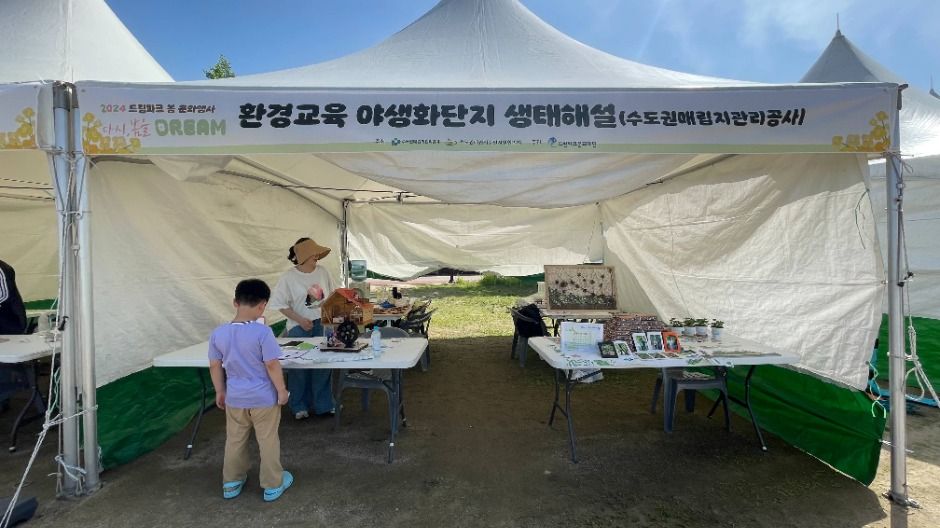 2025 드림파크 벚꽃축제 5