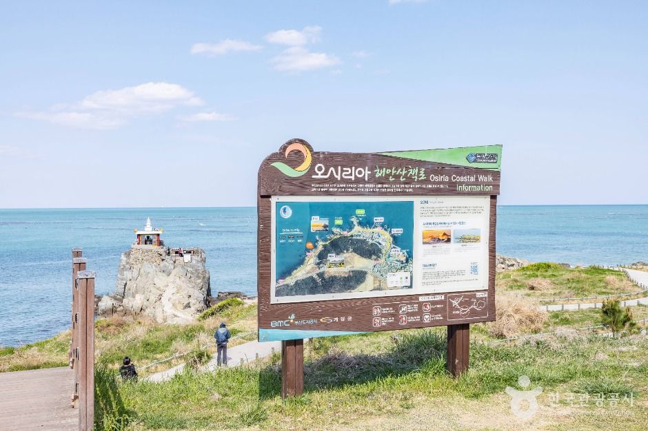 부산_오시리아 해안산책로 (12)