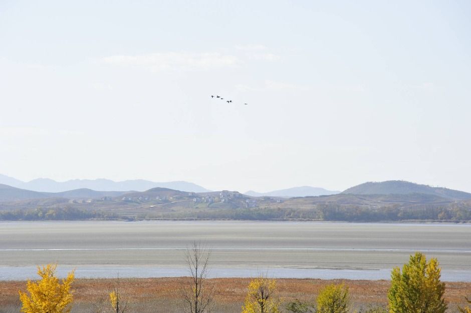 파주_파주 DMZ 생태연구소 (5)