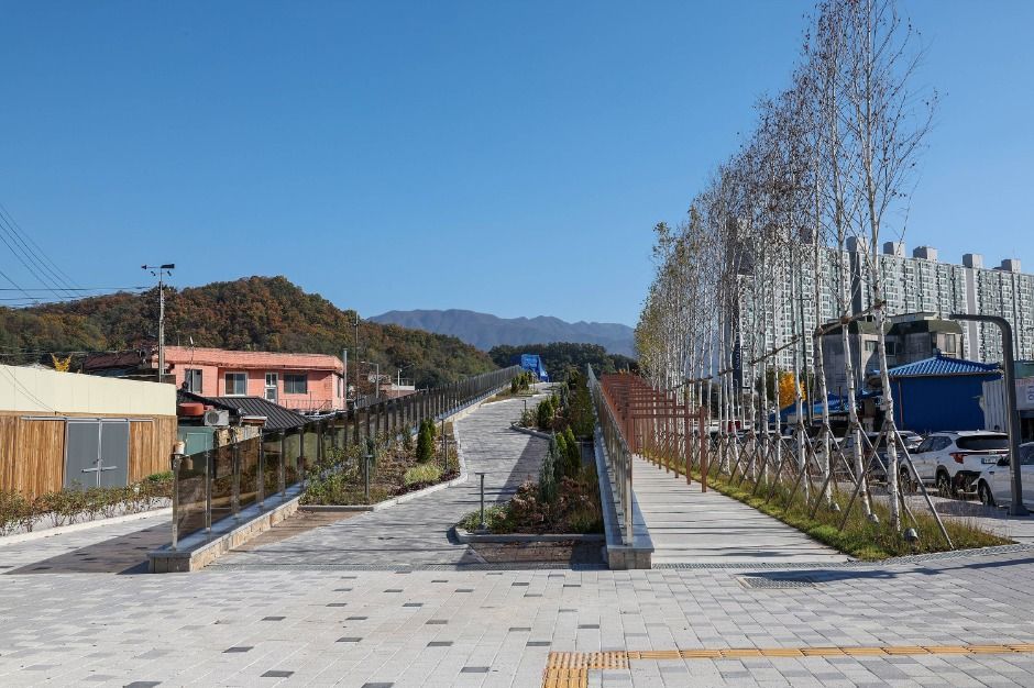 원주_치악산 바람숲길 (5)