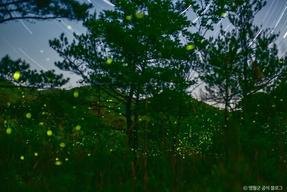 thumbnail-물무리골생태습지-33