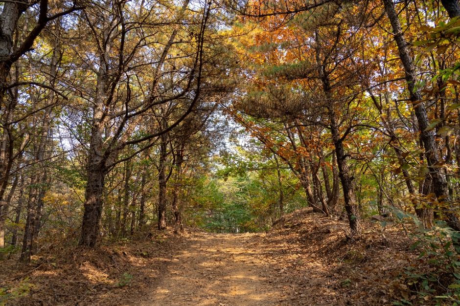 파주_[평화누리길 7코스] 헤이리길 (6)