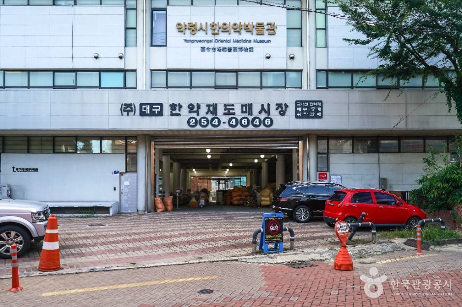 대구_대구 약령시 한의약박물관 (1)