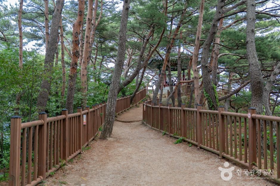 하조대