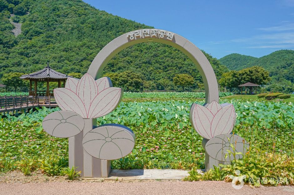 상리연꽃공원