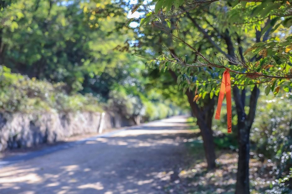 thumbnail-[서울둘레길 15코스] 노을·하늘공원코스-17