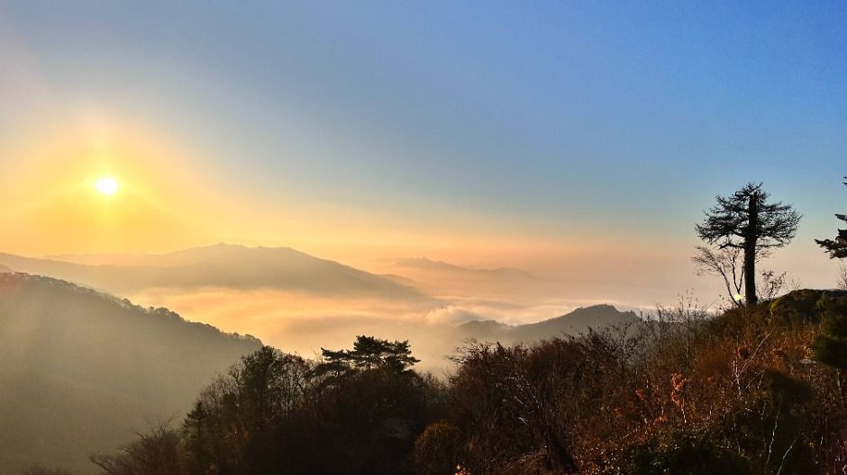 상원사(원주)