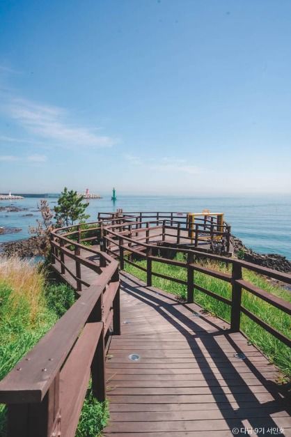 경주 바다 여행 가볼만한곳_읍천항_3-5