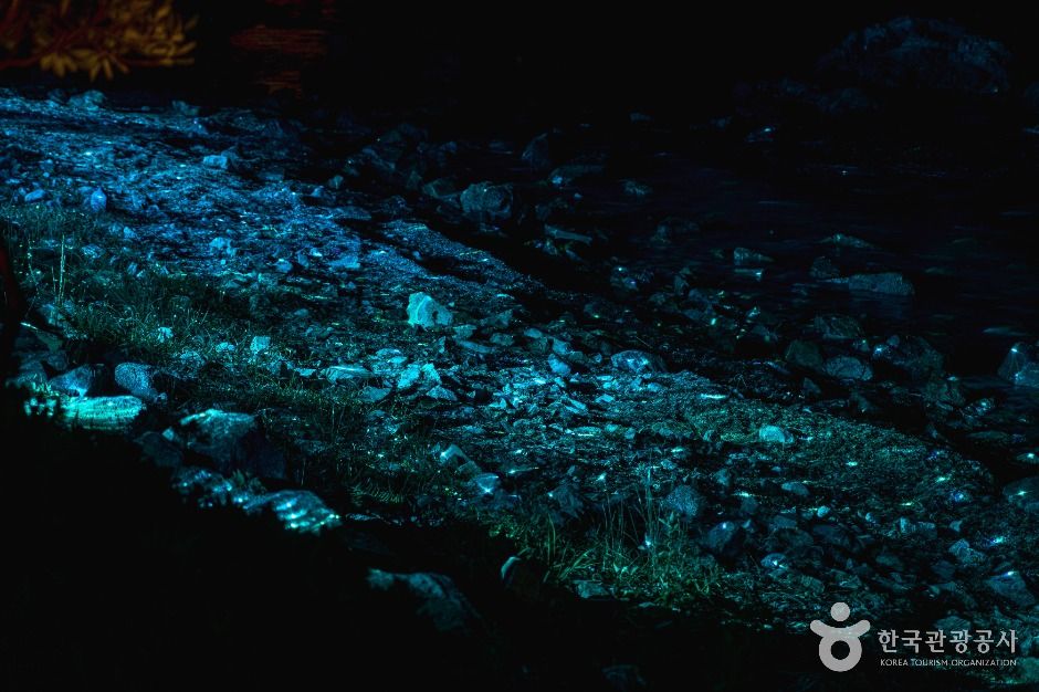 thumbnail-명선도-5