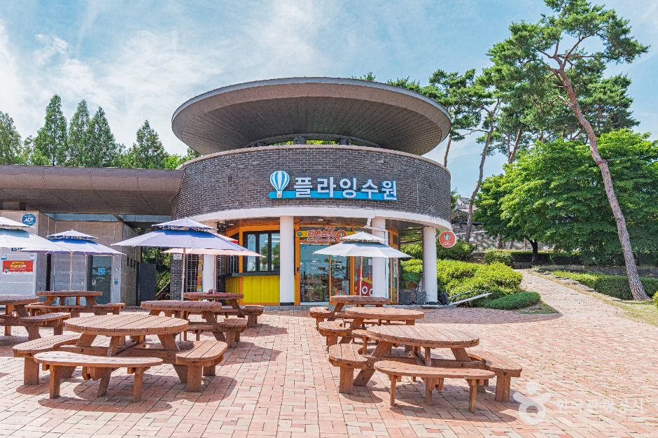 수원_플라잉 수원 (3)