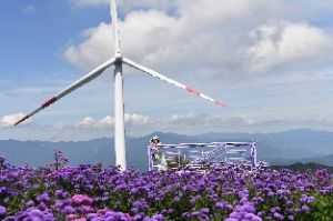 2025 감악산 꽃별 여행 3