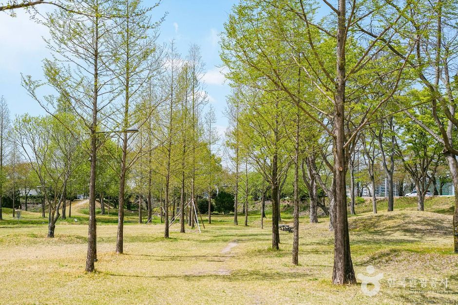 경주_신라왕경숲 (2)