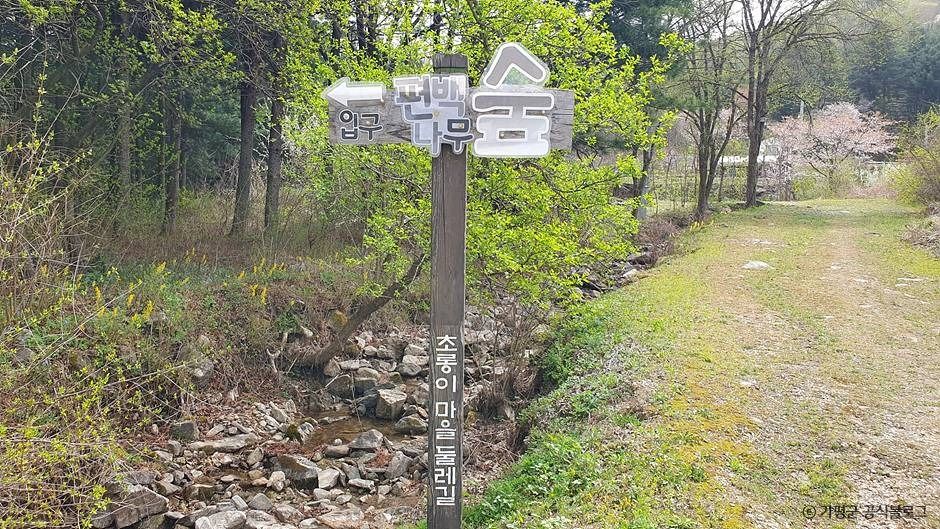 초롱이둥지마을