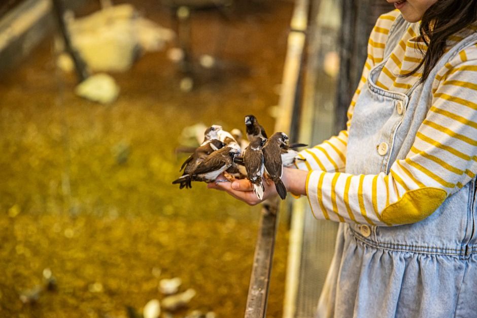 주렁주렁 경주점