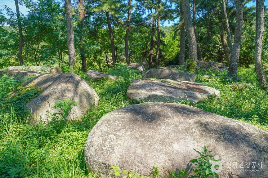 장흥 방촌리 지석묘군
