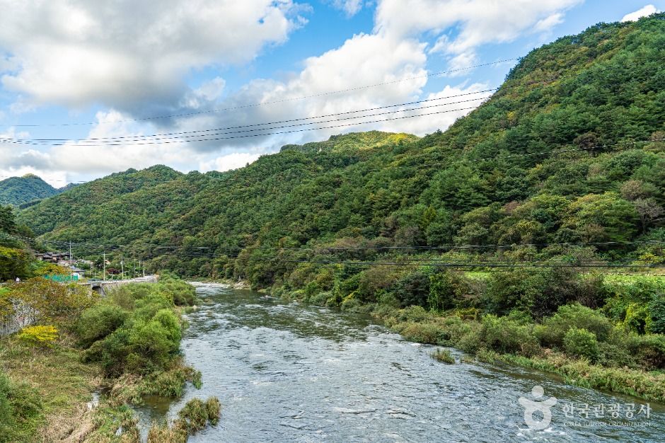 평창_금당계곡 (8)