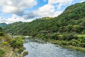 평창_금당계곡 (8)