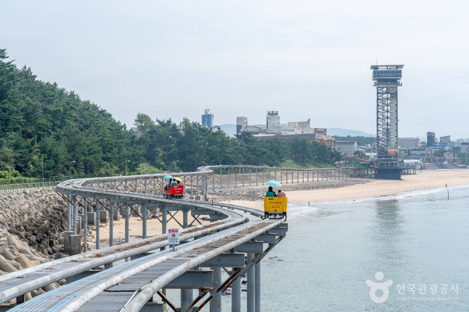 대천해수욕장 스카이바이크