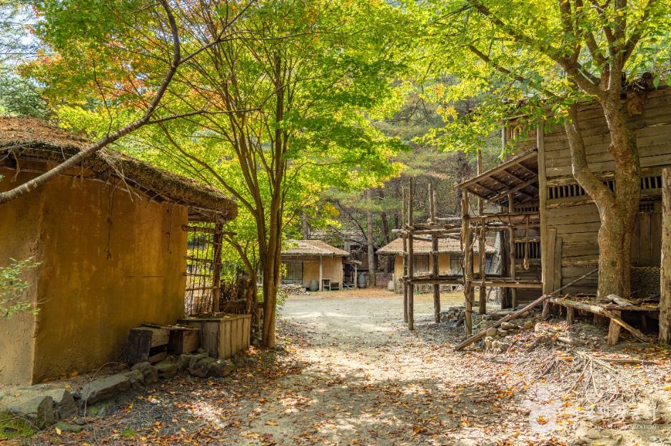 평창_웰컴투동막골촬영지 (3)