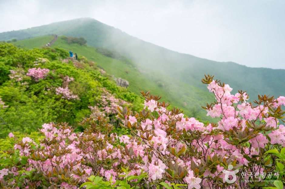 단양_소백산국립공원(북부) (6)