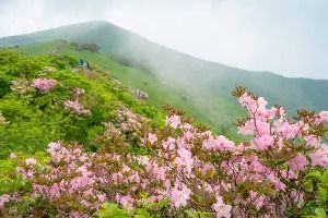 단양_소백산국립공원(북부) (6)