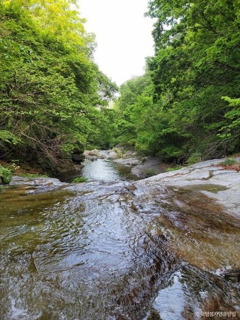 thumbnail-국망봉자연휴양림-6