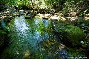 하동_지리산국립공원(하동) (3)