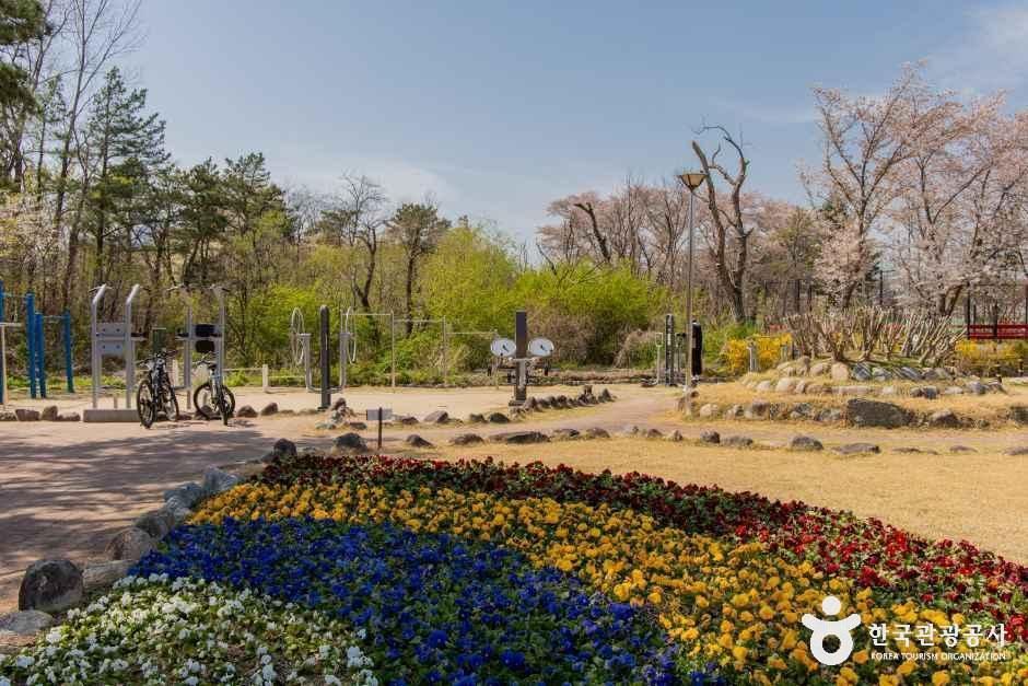 thumbnail-영랑호 설화공원-4