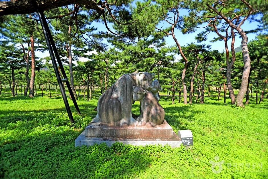 thumbnail-공주 고마나루-14