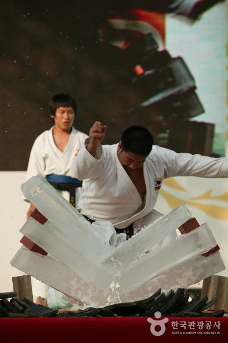 Chungju World Martial Arts Festival 