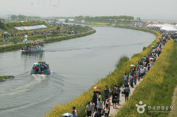 Hampyeong Butterfly Festival (함평 나비대축제) 