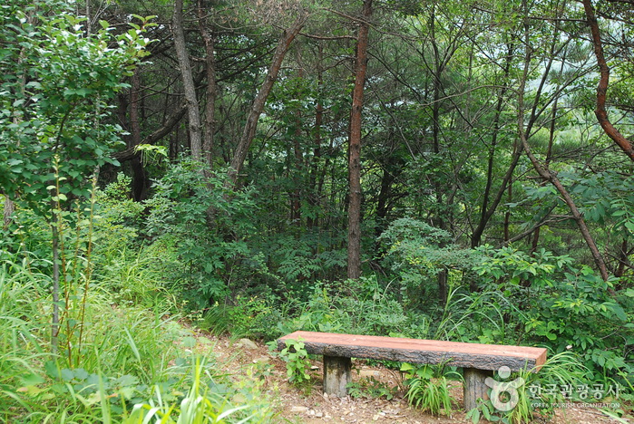 Jangnyeongsan Natural Forest (장령산자연휴양림)