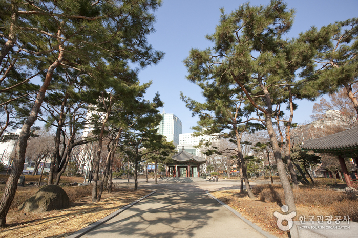 Tapgol Park (서울 탑골공원)