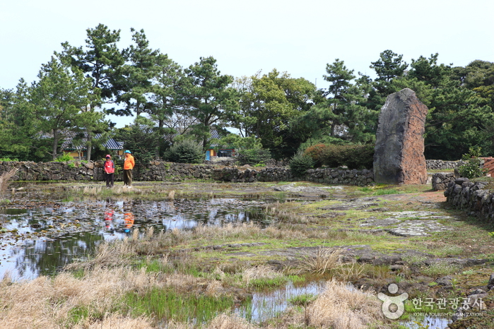 [제주올레 2코스] 광치기-온평 올레8