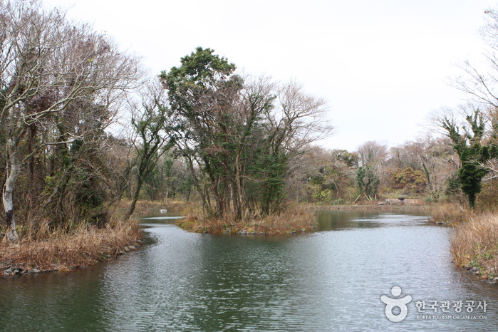 Eco Land Theme Park (에코랜드테마파크)
