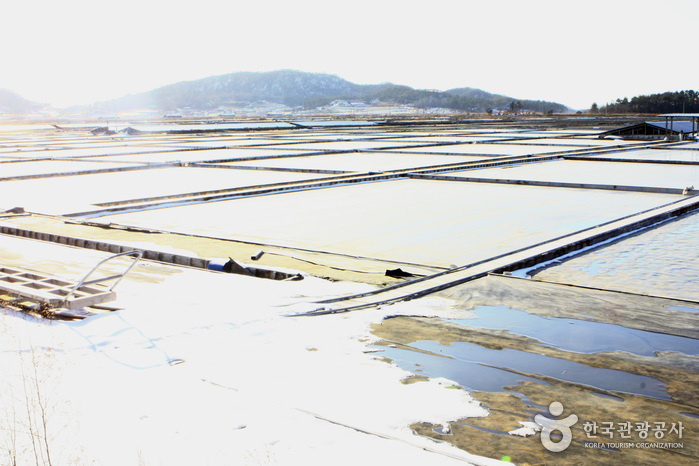 Jeungdo Island [A Slow City](증도)
